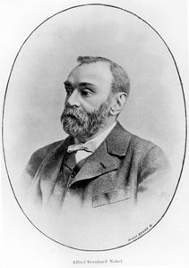 Alfred Bernhard Nobel autorstwa French School