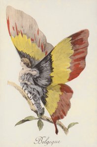 Alegoryczne przedstawienie Belgii jako motyla (kolorowa litografia) autorstwa French School