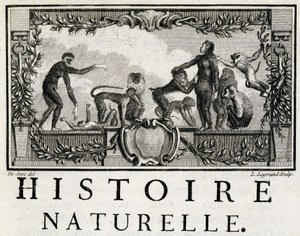 Alegoria historii naturalnej na małpach - w „Historii naturalnej, ogólnej i szczegółowej” Buffon autorstwa French School