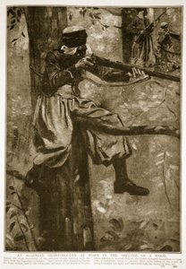 Algierski strzelec wyborowy przy pracy pod lasem, 1914-19 autorstwa French School