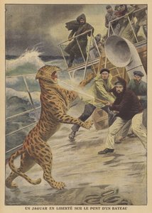 Jaguar, który uciekł na wolności na statku (kolor lito) autorstwa French School