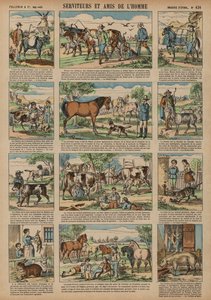 Zwierzęta pożyteczne dla człowieka (kolorowy grawer) autorstwa French School