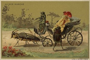 Karty Au Bon Marche przedstawiające antropomorficzne owady autorstwa French School