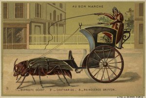 Karty Au Bon Marche przedstawiające antropomorficzne owady autorstwa French School