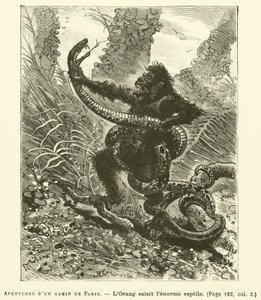 Przygody dzieciaka z Paryża (grafika) autorstwa French School