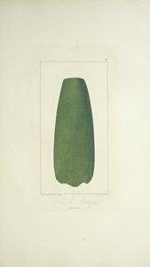 Aztec Axe, ilustracja z „Widoków Kordylierów i pomników rdzennych ludów Ameryki” autorstwa Alexandra von Humboldta i Aime Bonpland autorstwa French School
