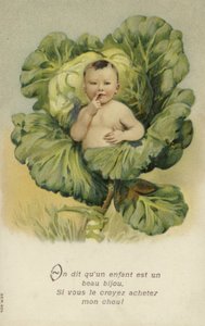 Dziecko w kapuście (chromolitho) autorstwa French School