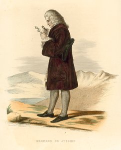 Bernard de Jussieu (kolorowy grawerunek) autorstwa French School