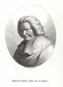 Bernard de Jussieu autorstwa French School