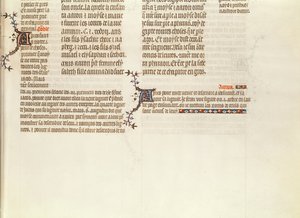 Dół strony bez miniatury, z Biblii Jana de Sy, ok. 1355
