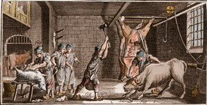 Boucher - Butchery - Butchery - „” The Great Encyclopedia lub Dictionnaire Raisonne des Sciences, des Arts et des Metiers” (Encyklopedia lub słownik nauk, sztuki i zawodów) autorstwa Denisa Diderota (1713-1784) i Jeana d
