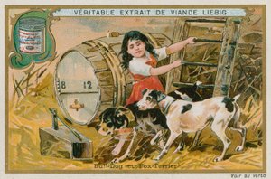 Buldog i Foksterier autorstwa French School