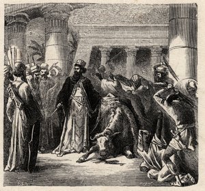 Kambyzes II, władca Persów Achemenidów Zabija Świętą Byka Egipcjan Apis - Cambyses lub Cambyse II (530-522 pne) Grawerowanie z „” L