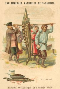 Kawior (chromolitho) autorstwa French School