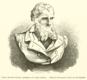 Charles-Alexandre Lesueur, przyrodnik, urodzony i zmarły w Le Havre (grafika) autorstwa French School