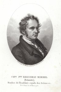 Charles-Francois Brisseau de Mirbel autorstwa French School