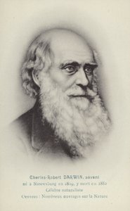 Karol Darwin (1809-1882), angielski przyrodnik (litografia) autorstwa French School
