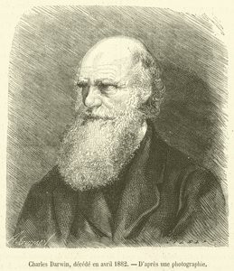Karol Darwin, decede en avril 1882 (grawerowanie) autorstwa French School