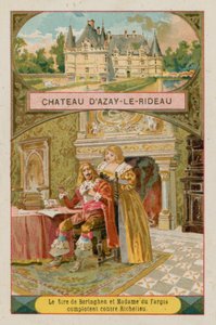 Zamek Azay-le-Rideau autorstwa French School