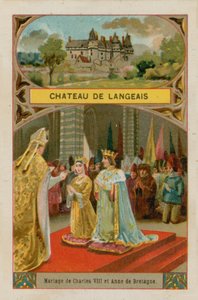 Zamek Langeais autorstwa French School