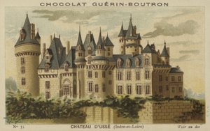 Zamek dUsse, Indre-et-Loire autorstwa French School