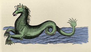 Cheval marin w „”Aquatilibusie”” autorstwa French School