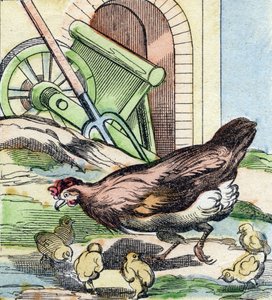 Kurczak i pisklęta. Grawerowanie w "Buffon Alphabet des Oiseaux n 2". 3. Seria N 2. Obrazowanie Epinal, Epinal, koniec XIX wieku. 16 stron. Wymiary: 28x21 cm autorstwa French School
