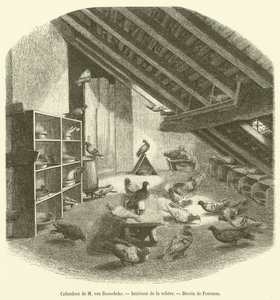 Colombier de M van Roosebeke, Interieur de la woliera (grawerowanie) autorstwa French School