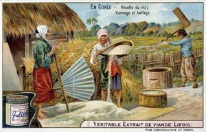 Coree: zbiór ryżu, tkanie i omłot - chromo. Liébiga, v.1900 autorstwa French School