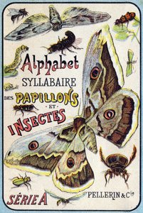 Okładka „Syllabary alfabetu motyli i owadów””. Serie A. Pellerin et Cie, drukarze-wydawcy, Epinal, koniec XIX wieku. Chromolitografie. Mały 8-stronicowy album reklamowy zawierający sylabariusz i obrazki wraz z tekstami opisowymi. D autorstwa French School