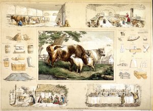 Krowa i jej produkty (dojenie, nabiał) autorstwa French School