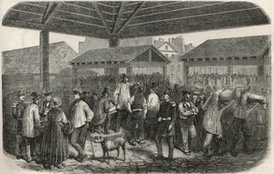 Tworzenie mięsa rzeźniczego na targu rue des Prouvaires w 1. dzielnicy Paryża - Grawerowanie w „Tableau-de-Paris” autorstwa Edmonda Texiera 1852 autorstwa French School