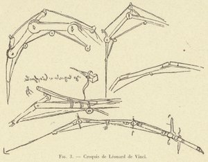 szkic Leonarda da Vinci autorstwa French School