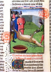 Odcinanie nóg martwego jelenia, z Livre de la Chasse Gastona Phebusa de Foix (1331-91) autorstwa French School
