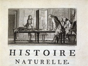 Sekcja zwierząt - w „Historii naturalnej, ogólnej i szczegółowej” Buffon autorstwa French School