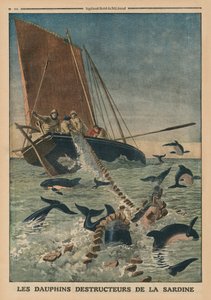 Delfiny niszczące sardynki, ilustracja na przedniej okładce z "Le Petit Journal", supplement illustre, 23 marca 1913 r.