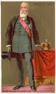 Don Pedro II, cesarz Brazylii autorstwa French School