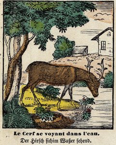 Fables de La Fontaine: jelenie widzące siebie w wodzie. Wizerunek Epinal, pierwsza połowa XIX wieku autorstwa French School