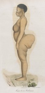 „Femme de race Bochismann”. Ta płyta najwyraźniej jest wizerunkiem Sary (Saartjie) Baartman (1789-1815), która była Khoisan sprowadzoną z Południowej Afryki, aby wystawić ją na publiczny pokaz na Piccadilly pod tytułem „Hottentot Wenus” z powodu tego, co b autorstwa French School