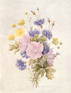 Kwiaty polne, 1842 (wc na papierze) autorstwa French School
