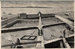 Hodowla ryb w Concarneau - Bretania - Establishment de pisciculture - Concarneau - Finistere - Bretania - grawerowanie w „” PATRIE” - OBRAZ OPIS FRANCJI W 6 TOMACH: LUCIEN HUARD - koniec XIX wieku autorstwa French School