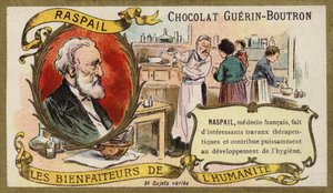Francois-Vincent Raspail , francuski lekarz (chromolitho) autorstwa French School