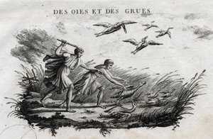 Gęsi i żurawie - Fable d