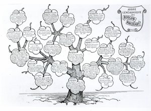 Drzewo genealogiczne rodziny Rougon-Macquart
