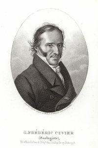 George Cuvier autorstwa French School