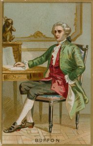 Georges-Louis Leclerc, hrabia Buffon autorstwa French School