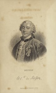Georges-Louis Leclerc, hrabia Buffon autorstwa French School