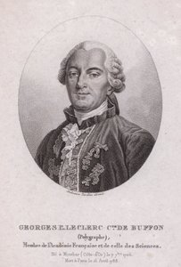 Georges-Louis Leclerc, hrabia de Buffon, francuski naukowiec i pisarz (grafika) autorstwa French School