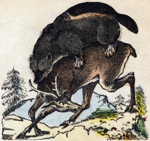 Żarłok. Grawerowanie w „Alfabet des animaux sauvages””. 9. seria. Obraz Epinal, Pellerin, drukarz-wydawca, ok. 1870 r. Ryciny na drewnie, szablon. 16 stron. Wymiary: 20 x 15 cm. Prywatna kolekcja autorstwa French School