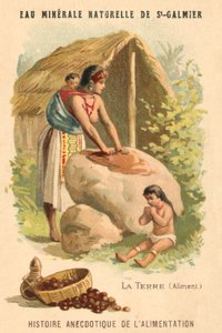 Orzechy mielone (chromolitho) autorstwa French School